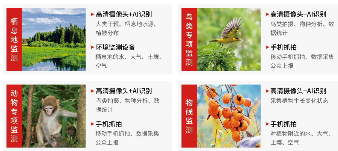 AI算法识别与分析结果