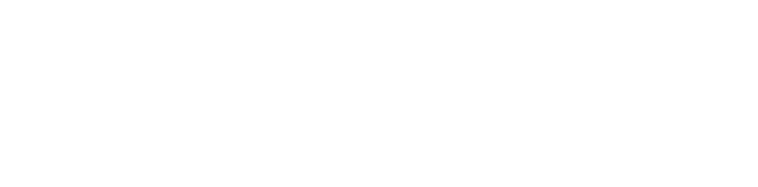 荆棘鸟智能 THORNBIRD
